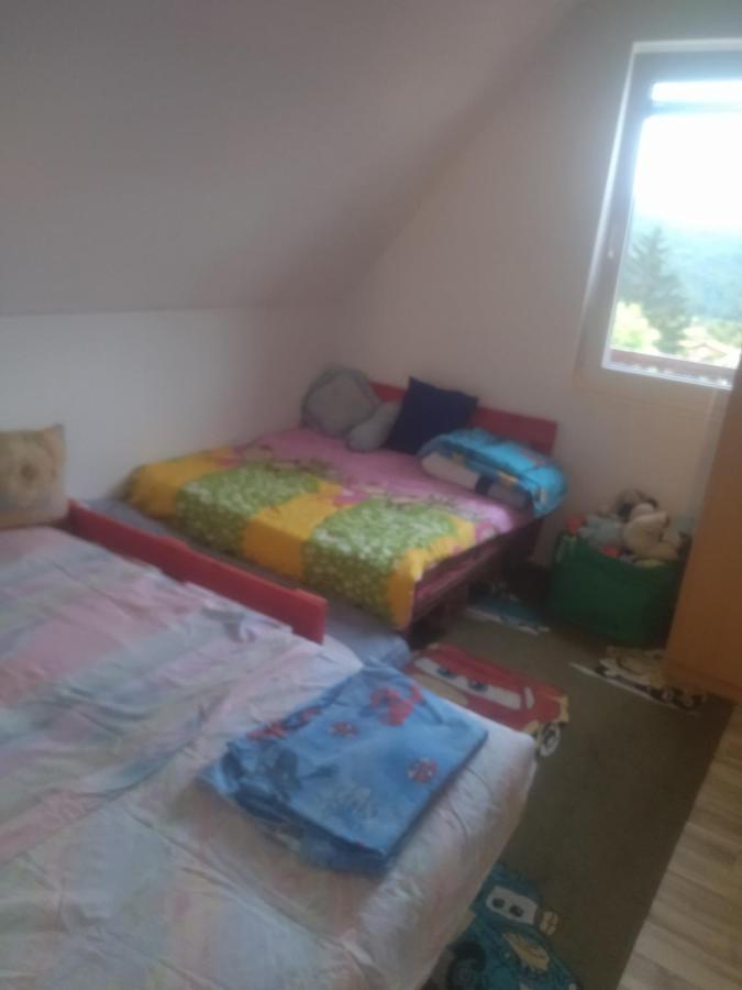 Bor, Savaca - Porodicna Vikendica Za Izdavanje Kültér fotó