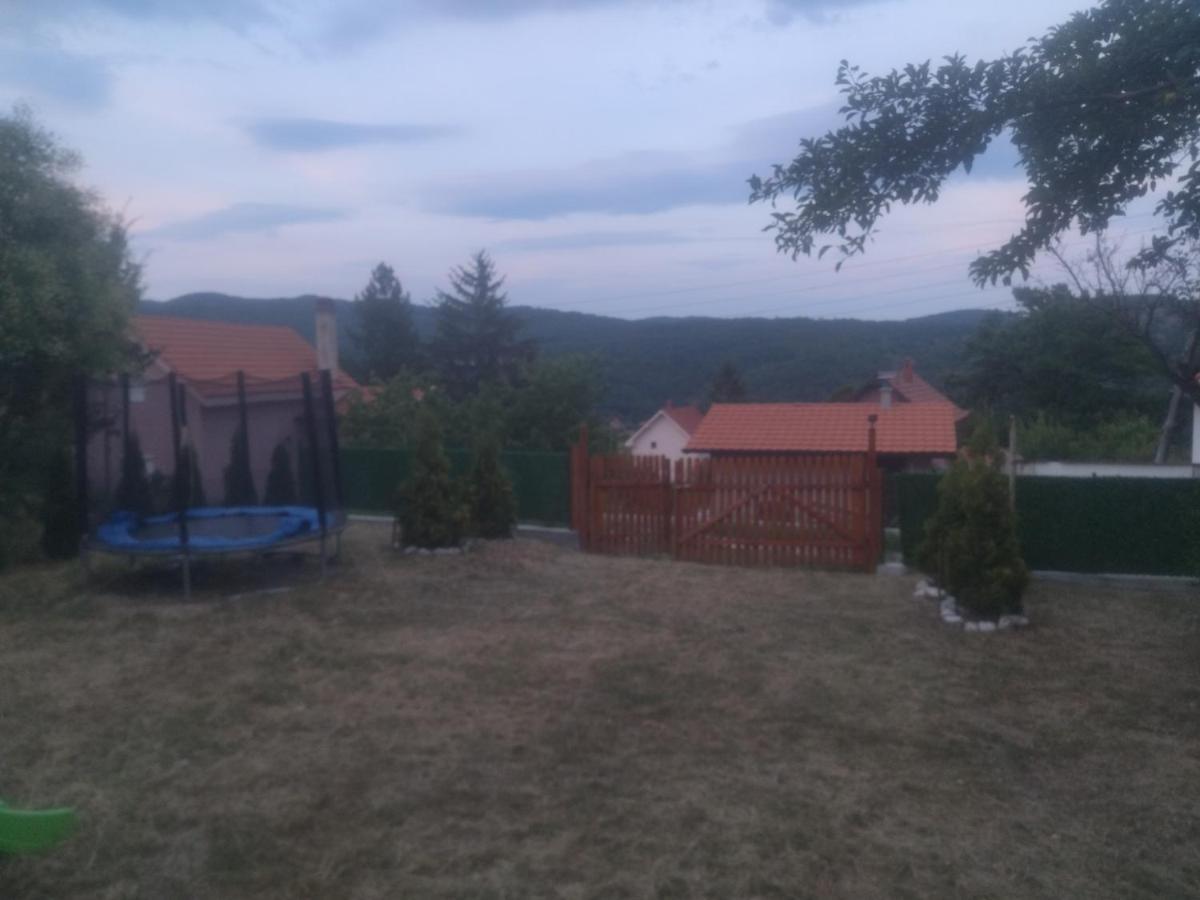 Bor, Savaca - Porodicna Vikendica Za Izdavanje Kültér fotó